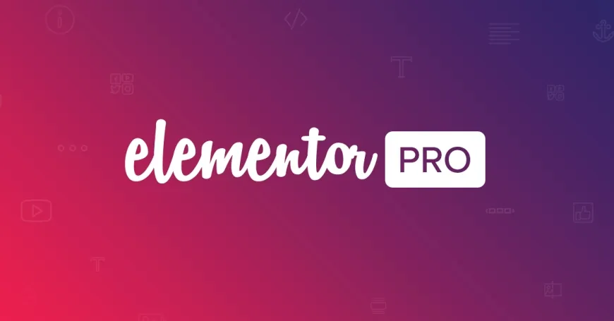 Elementor Pro: Website Builder (v3.24.0)